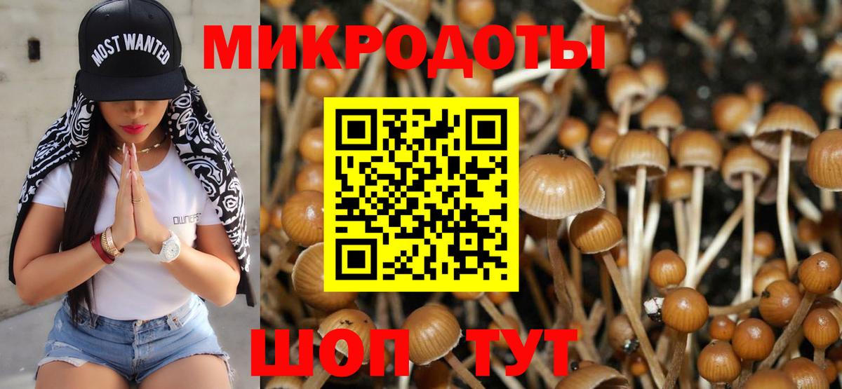 Галлюциногенные грибы MAGIC MUSHROOMS  Галлюциногенные грибы ЛСД  Тамбов  Вход с VPN 