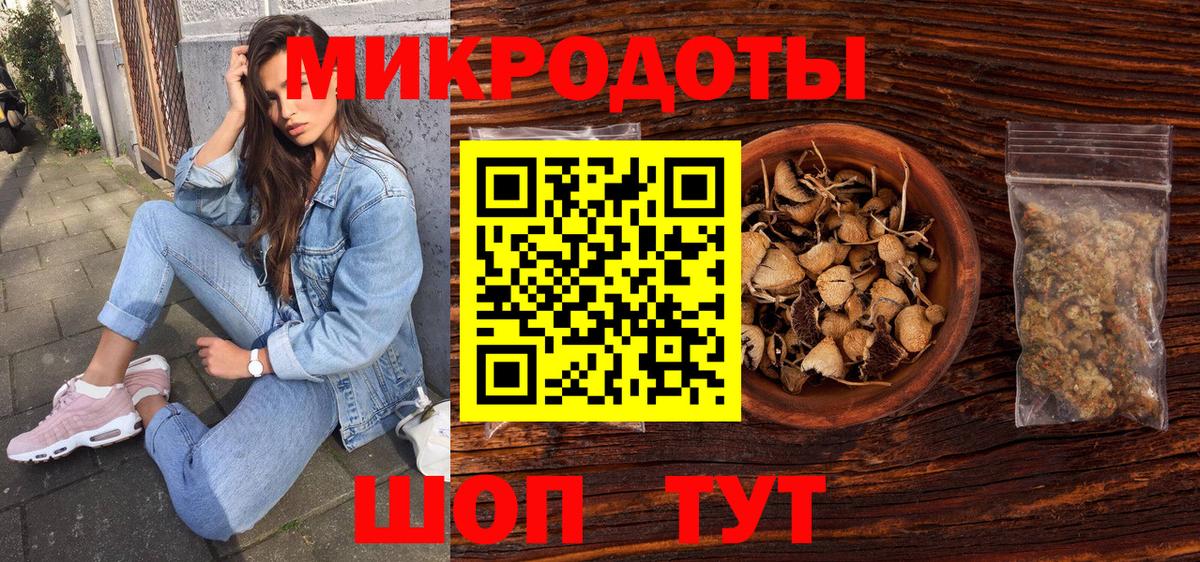 Галлюциногенные грибы Psilocybe Тамбов